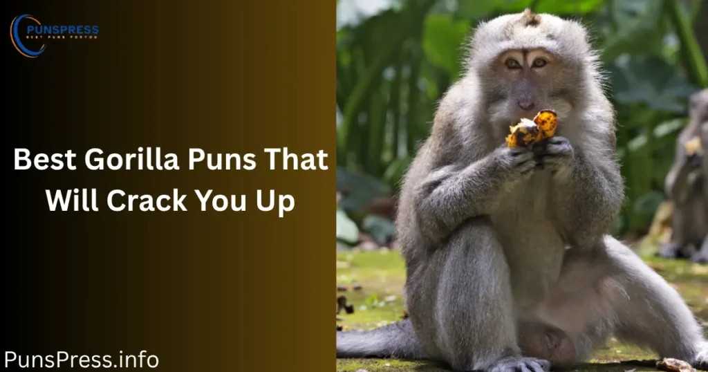 Best Gorilla Puns That Will Crack You Up