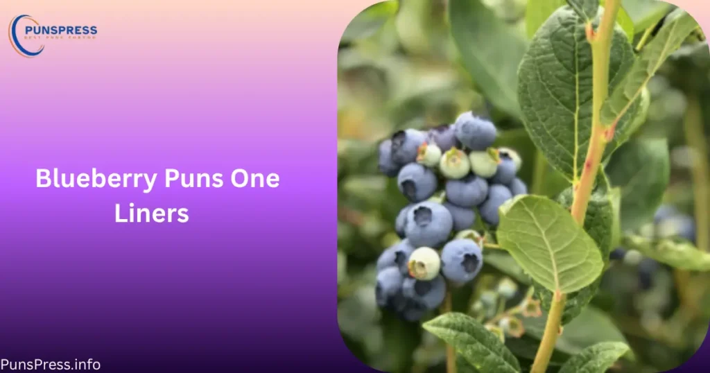 Blueberry Puns One Liners