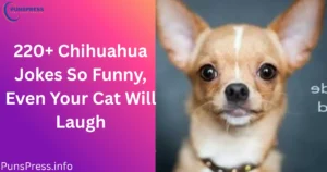 Chihuahua Jokes