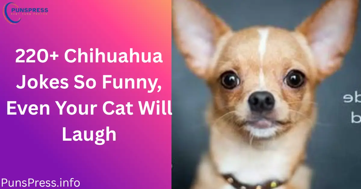 Chihuahua Jokes