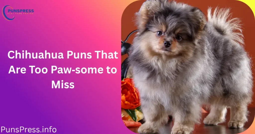 Chihuahua Puns That Are Too Paw‑some to Miss