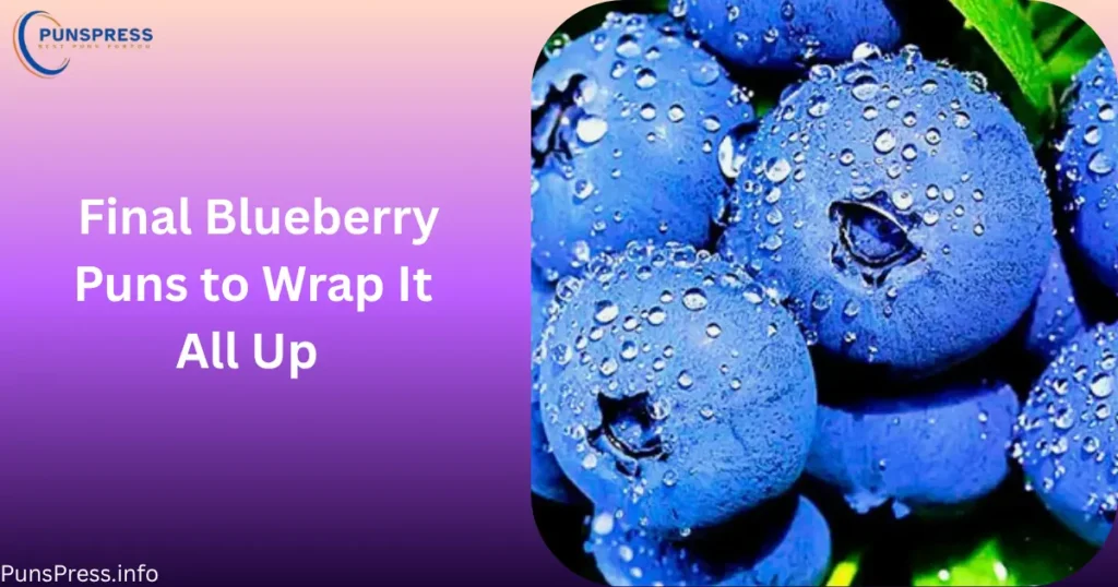 Final Blueberry Puns to Wrap It All Up