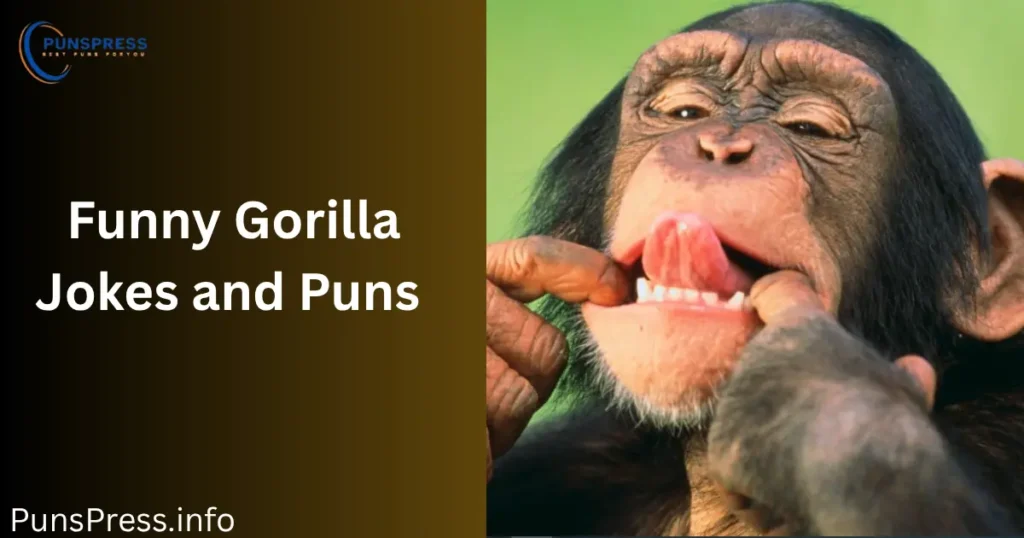 Funny Gorilla Jokes and Puns