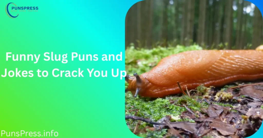 Funny Slug Puns and Jokes to Crack You Up