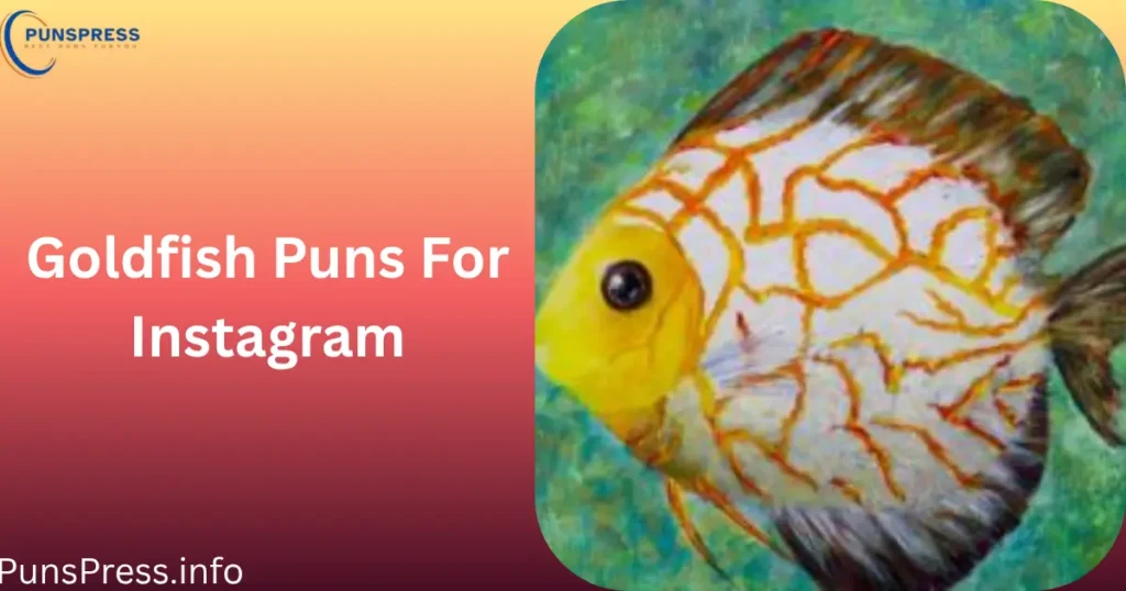 Goldfish Puns For Instagram