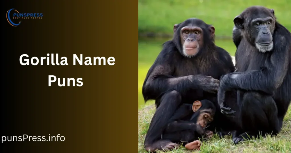 Gorilla Name Puns