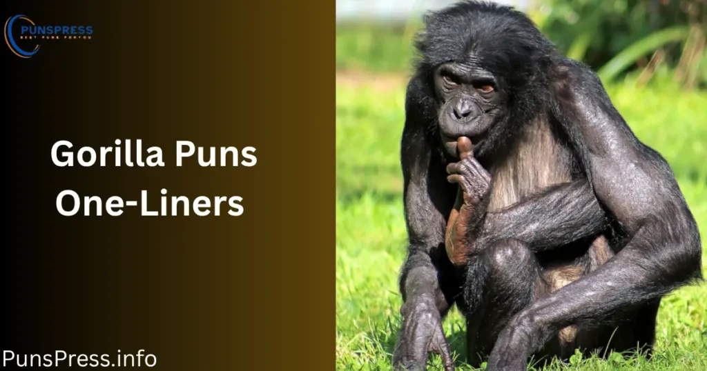 Gorilla Puns One-Liners