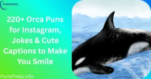 Orca Puns