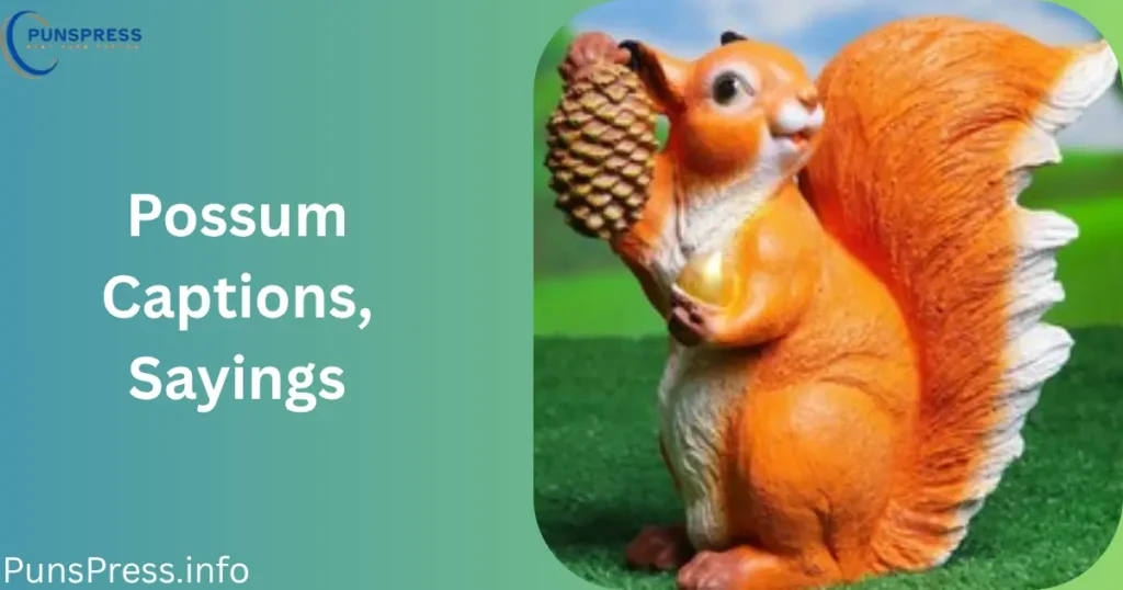 Possum Captions, Sayings