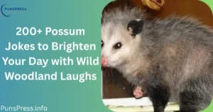Possum Jokes