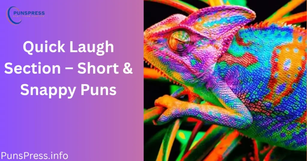 Quick Laugh Section – Short & Snappy Puns