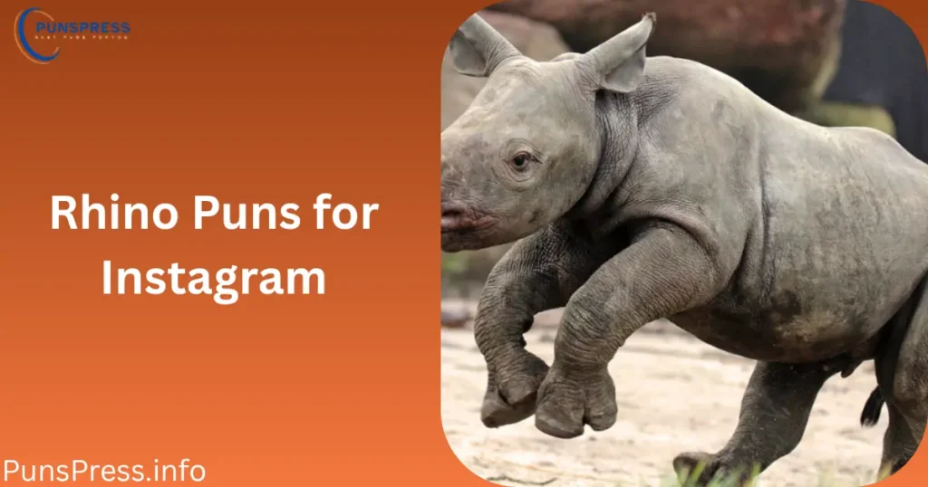 Rhino Puns for Instagram