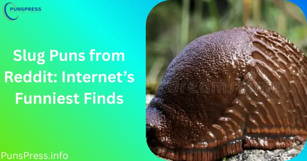 Slug Puns from Reddit Internet’s Funniest Finds