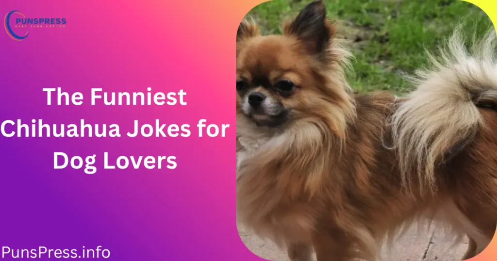 The Funniest Chihuahua Jokes for Dog Lovers