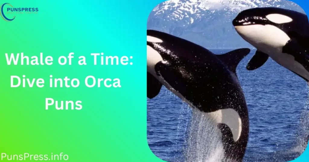 Whale of a Time Dive into Orca Puns