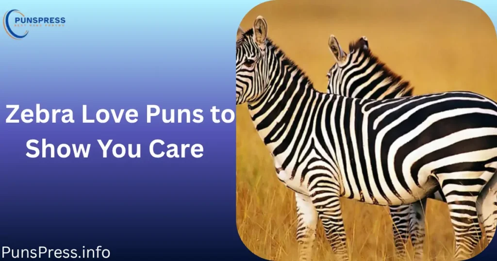 Zebra Love Puns to Show You Care
