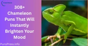 chameleon jokes