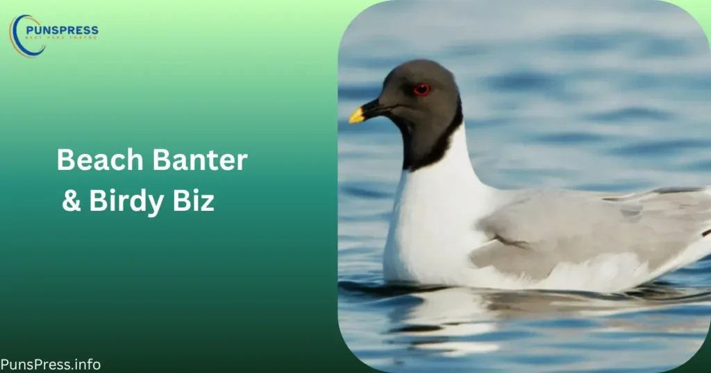Beach Banter & Birdy Biz