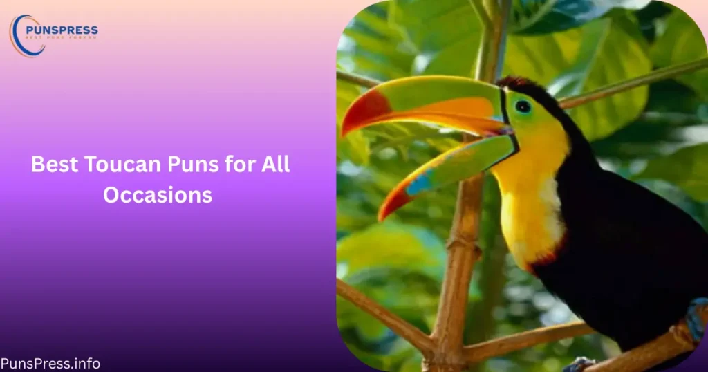 Best Toucan Puns for All Occasions