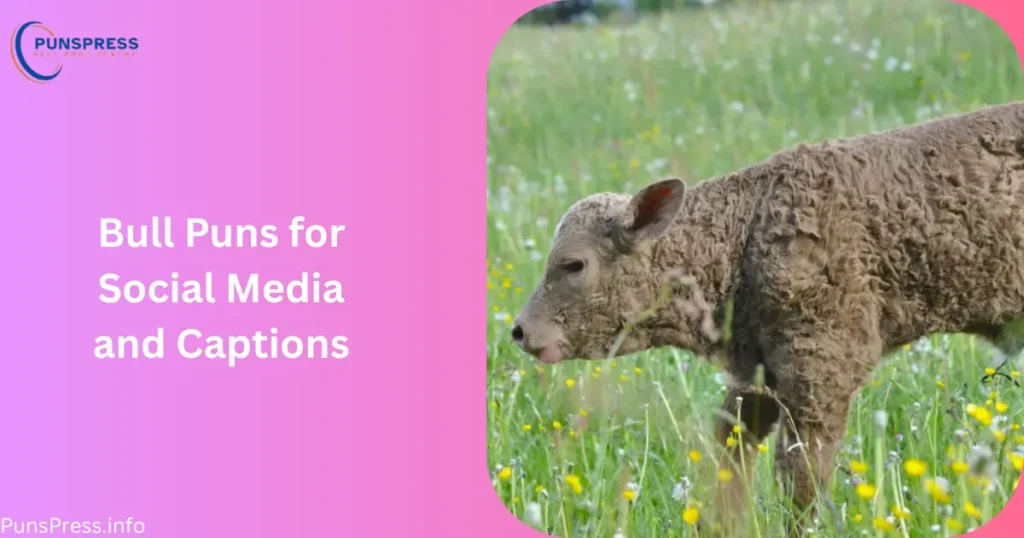Bull Puns for Social Media and Captions