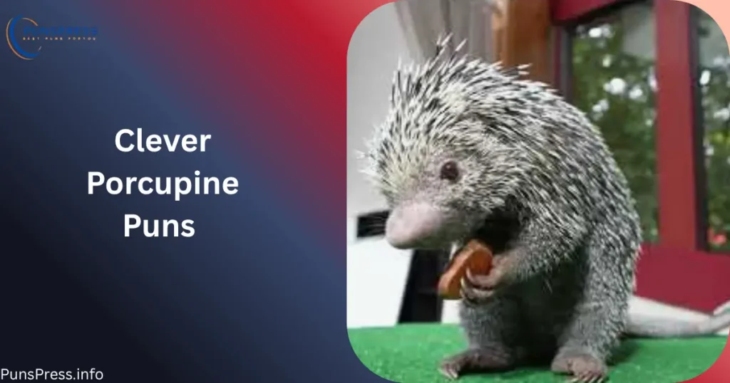 Clever Porcupine Puns