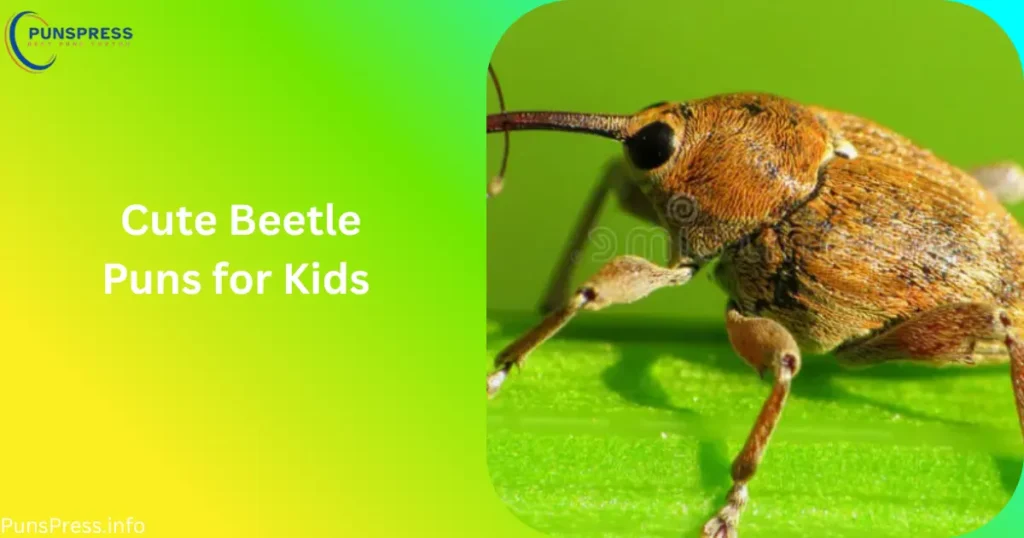 Cute Beetle Puns for Kids