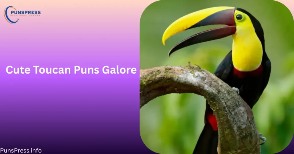 Cute Toucan Puns Galore