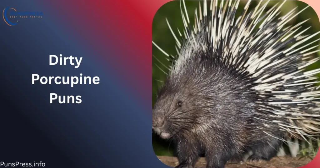 Dirty Porcupine Puns