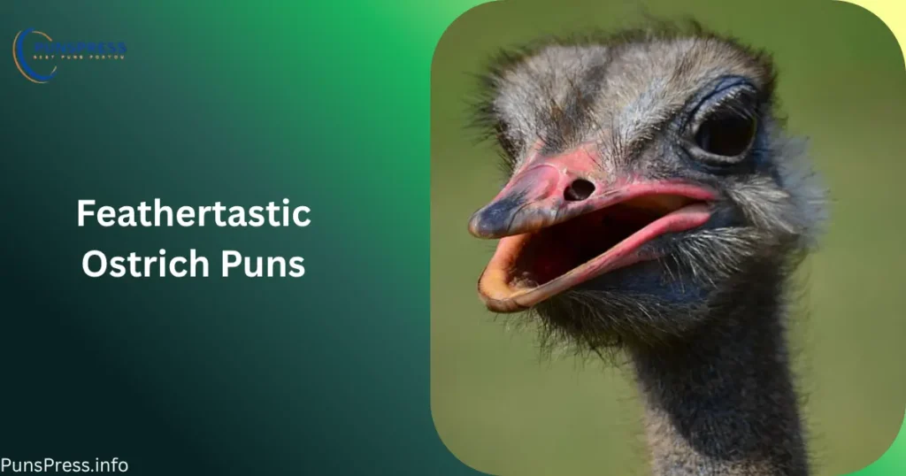Feathertastic Ostrich Puns