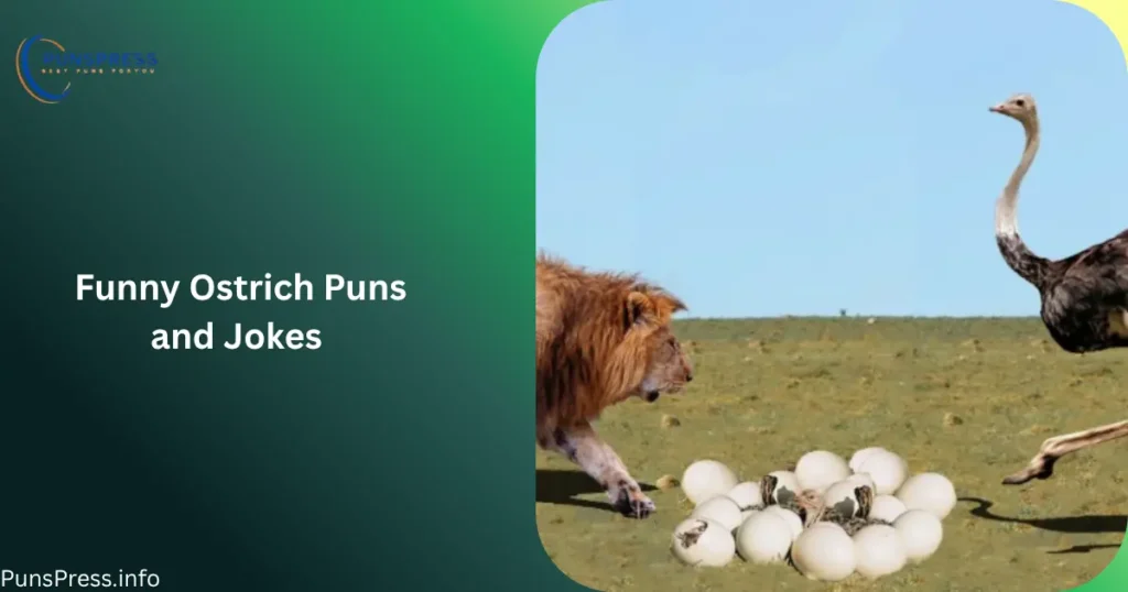 Funny Ostrich Puns and Jokes