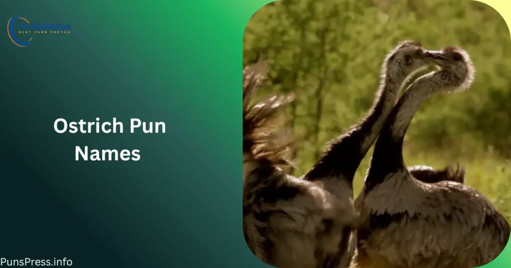 Ostrich Pun Names
