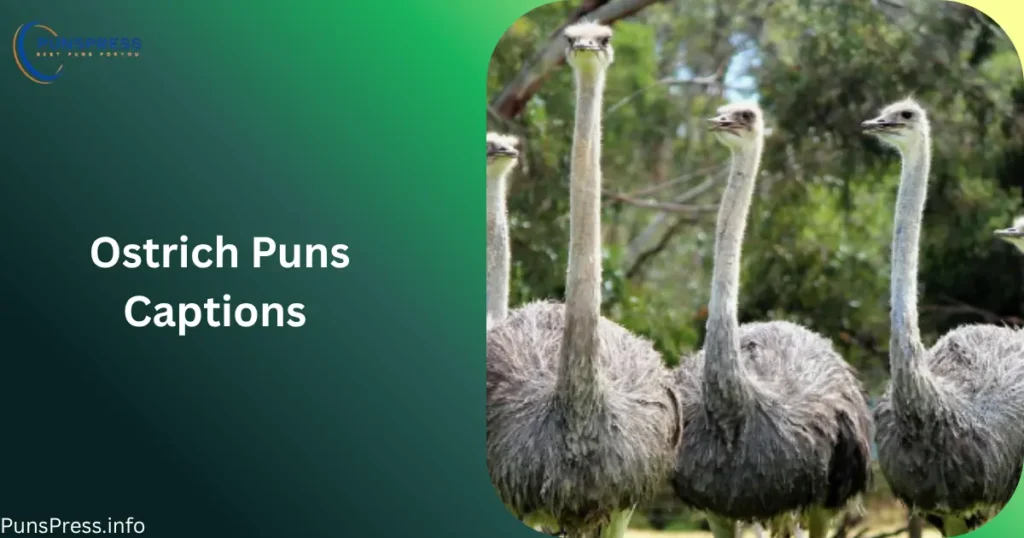 Ostrich Puns Captions
