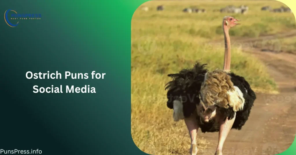 Ostrich Puns for Social Media