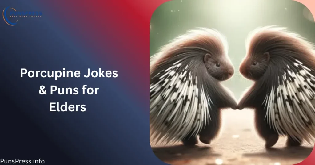 Porcupine Jokes & Puns for Elders