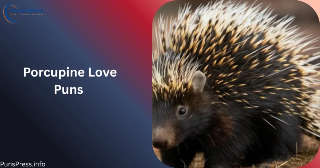 Porcupine Love Puns
