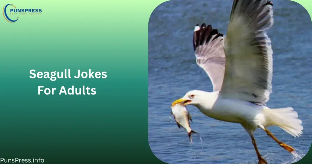 Seagull Jokes For Adults
