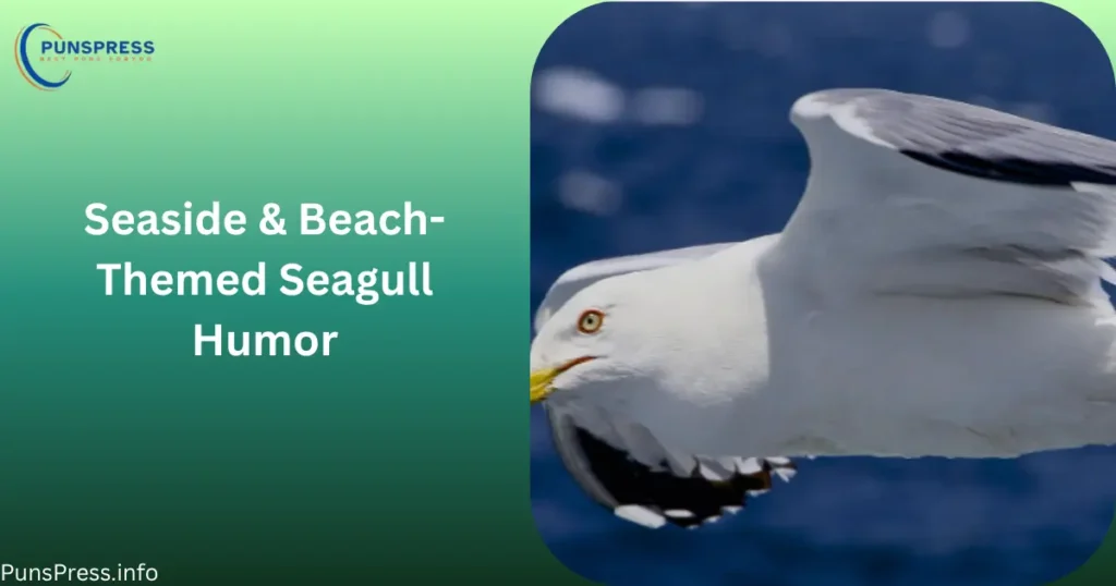 Seaside & Beach-Themed Seagull Humor