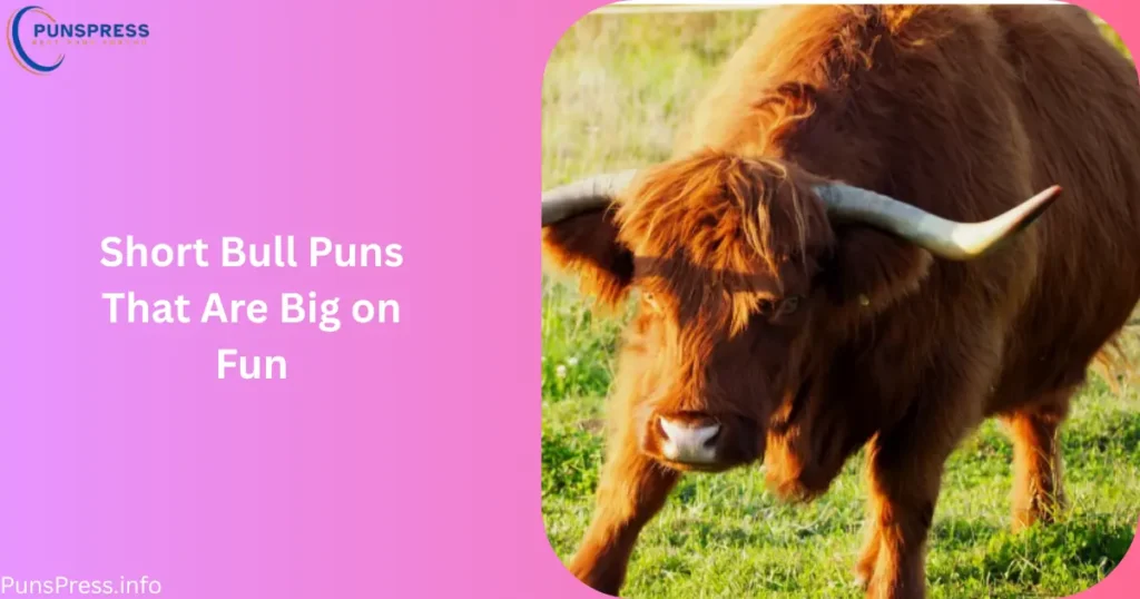 Short Bull Puns That Are Big on Fun