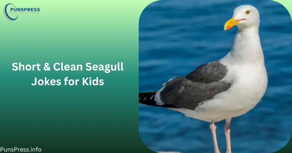 Short & Clean Seagull Jokes for Kids