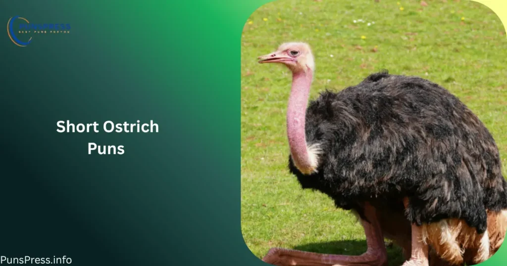 Short Ostrich Puns