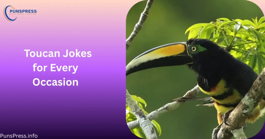 Toucan Jokes for Every Occasion