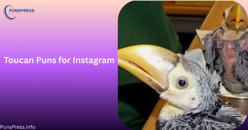 Toucan Puns for Instagram
