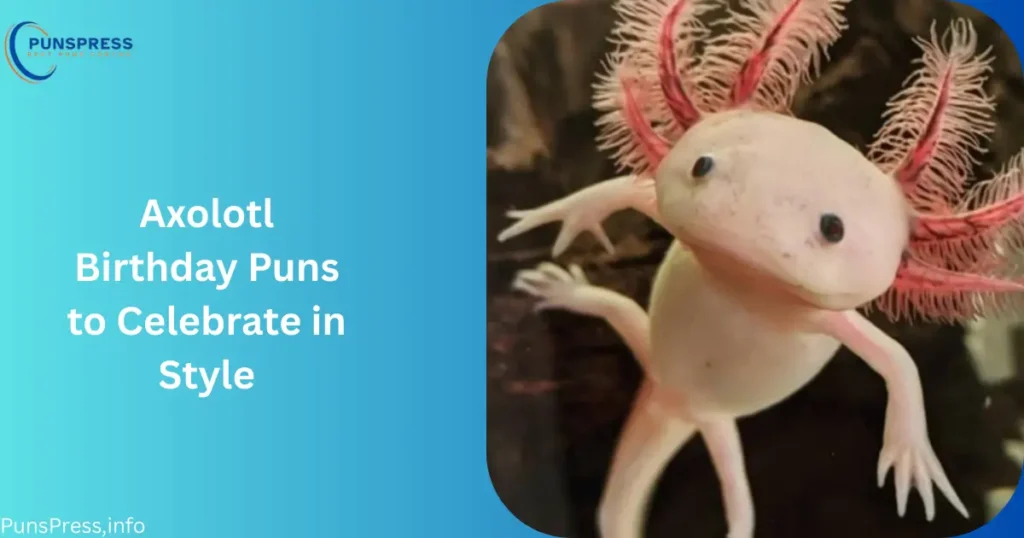 Axolotl Birthday Puns to Celebrate in Style