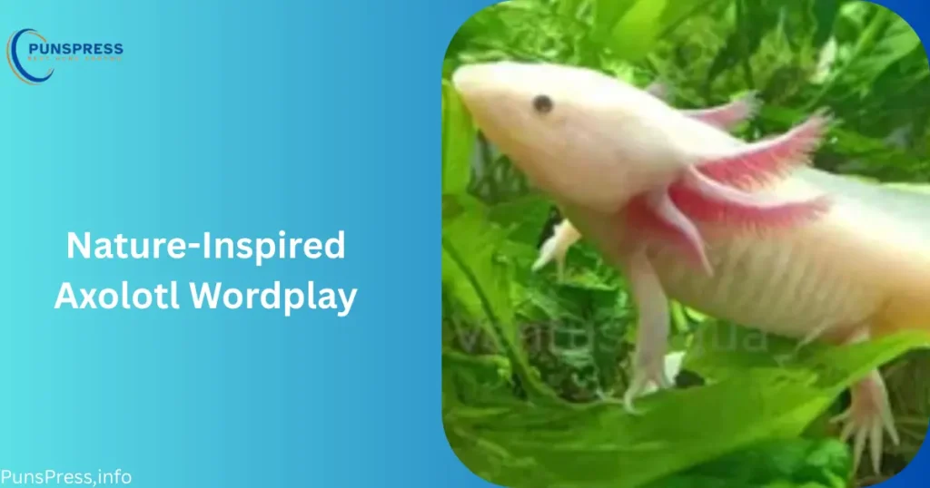 Nature-Inspired Axolotl Wordplay