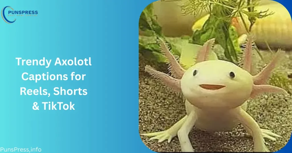 Trendy Axolotl Captions for Reels, Shorts & TikTok
