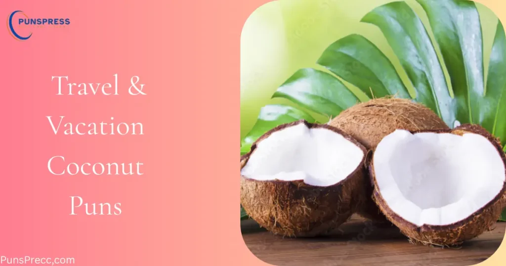 Travel & Vacation Coconut Puns