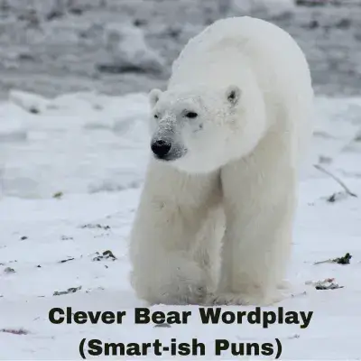 Clever Bear Wordplay (Smart-ish Puns)