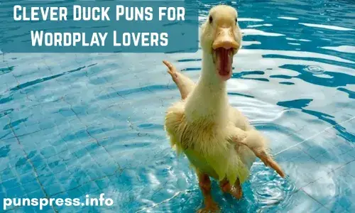 Clever Duck Puns for Wordplay Lovers