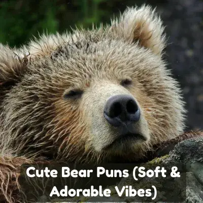 Cute Bear Puns (Soft & Adorable Vibes)