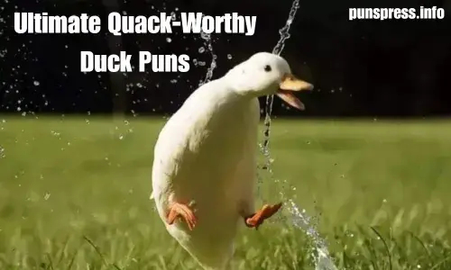 Ultimate Quack-Worthy Duck Puns